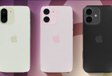 iPhone 16 Jadi Flagship Paling Dicari? Ini Kelebihan dan Kekurangannya