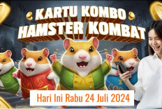 Baru Combo Harian Hamster Kombat Hari Ini 24 Juli 2024, Garap Hingga 5 Juta Koin Gratis