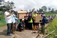 Untuk Atasi Hama Tikus, Petani Disarankan Menggunakan Musuh Alami 