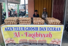 Agen Telur Ayam Al Faqihiyyah, Menyediakan Telur Kualitas Terbaik Harga Grosir Dan Eceran