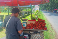 Bulan Suci Ramadan Membawa Berkah Tersendiri Bagi Penjual Buah Rambutan