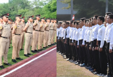 Bukan Sekadar Kuliah, Ini Alasan Sekolah Kedinasan Jadi Jalan Ninja Menuju Masa Depan Cerah