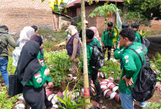 Mahasiswa Unmura Pelajari Sektor Peternakan dan Pertanian Terpadu di Desa Air Satan 