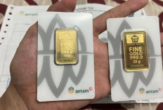 Harga Emas Antam 25 Oktober 2025 Menurun, Apa Penyebabnya
