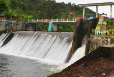 Danau Bukit Layang Muratara Bernuansa Asri Membuat Pengunjung Lebih Dekat dengan Alam