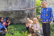 Dinas Ketahanan Pangan Muratara Monitoring Penerima Bantuan Bibit Cabai dan Jamur Tiram
