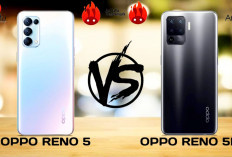 Berikut 5 Perbedaan Oppo Reno5 dan Oppo Reno5 F, Hp Terbaik 2024 Dengan Spek yang Gahar