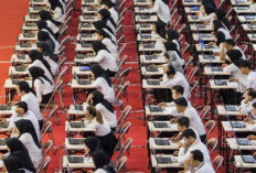 CPNS 2026 Buka Lowongan Besar-Besaran untuk SMA dan SMK, Ini Daftar Formasi Favoritnya