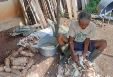 Kembangkan Usaha Pembuatan Kerupuk dan Stik Singkong, Pelaku UMKM di Musi Rawas Ini Berharap Dapat Bantuan