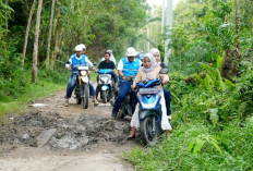 Jalankan Amanat Pemerintah, PLN Kawal Tuntas Pembangunan Infrastruktur Kelistrikan Desa Pedamaran OKI
