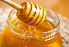 Bolehkah Madu Dikonsumsi oleh Penderita Diabetes, Ini Penjelasannya