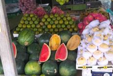 Buah Jeruk Lokal Jadi Favorit Pembeli, Lapak Dedi di Lubuk Linggau Banyak Peminat