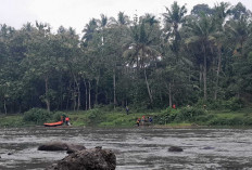 Peringati Bulan K3 Nasional 2026, Fuel Terminal Pertamina Patra Niaga Lubuk Linggau Adakan Giat Susur Sungai