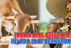 Hindari 4 Hal ini Saat Berkurban, Masih Ada yang Melakukan Bukan Asal Beset Aja!
