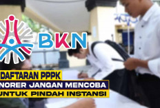 Seleksi PPPK 2024 Daerah Ada Larangan Pindah, Ini Penjelasan BKN Mengenai Honorer Daerah 