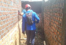 Ular Kobra Sepanjang 2 Meter Ditemukan Bersarang di Paralon Air Rumah Warga di Lubuk Linggau