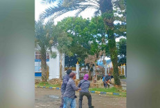 Pohon Kurma di Alun-Alun Merdeka Dipotong, Wali Kota Lubuk Linggau: Kita Ganti Pohon Alpukat