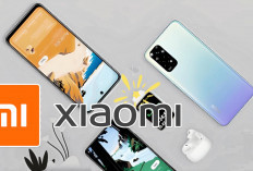 HP Xiaomi Paling Laris di Indonesia, September 2024 Berikut Daftar Harga Xiaomi, Redmi, POCO