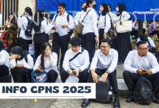 Kebutuhan CPNS 2025 Lulusan D3-S1 di Institusi Seperti Lemhannas, BPIP, BKKBN, Kementan