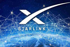 BNPB Berikan Akses Starlink Gratis Untuk Warga Terdampak Banjir di Sumatera