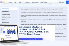 Gagal Seleksi CPNS Lanjut Daftar SSCASN PPPK 2024,  Hanya untuk yang Diprioritaskan  