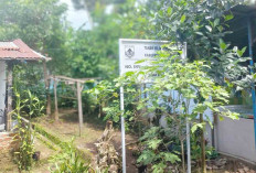 Masih Ada Tanah Tak Bertuan Aset Pemkab Musi Rawas, Pemkot Lubuk Linggau Menunggu Proses