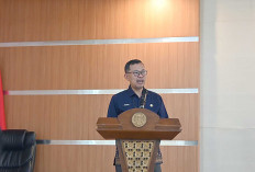 Hasil Sensus Pertanian, Karet dan Sawit Masih Jadi Andalan di Musi Rawas