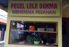 Pecel Lele Sukma: Kuliner Siang Hari yang Menggugah Selera di Lubuk Linggau