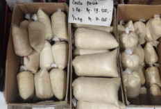 Harga Gula Pasir Stabil, Gula Pasir Curah Masih Jadi Favorit