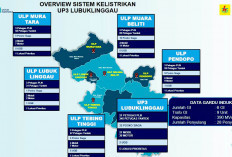 Dukung Pilkada Serentak, PLN UP3 Lubuklinggau Siagakan 717 Personil di 6 Kabupaten Kota