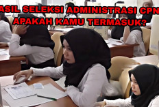 Hasil Seleksi Administrasi CPNS 2024, Ada 2.855.597 Pendaftar Penuhi Syarat, Apakah Kamu Termasuk?