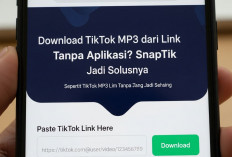 Download TikTok MP3 dari Link Tanpa Aplikasi? SnapTik Jadi Solusinya