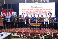 Potensi Cetak Sawah Baru di Sumsel 1.312.702 Hektare