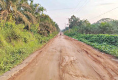 Camat di Musi Rawas Sampaikan 2 Tuntutan Warga Terhadap PT Djuanda Sawit