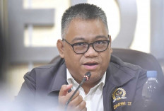 Jika Alokasi Belanja Pegawai Maksimal 30%, PHK PPPK Paruh Waktu Tak Terelakkan