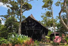 Libur Sekolah Healing Bareng Keluarga, Main ke Sini Spot Wisata Ramah Anak