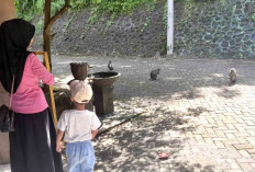 Objek Wisata Bukit Sulap Lubuk Linggau, jadi Lokasi Penting di Zaman Penjajahan Belanda dan Jepang