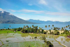 Cuma Rp250 Ribu Bisa Naik Kapal Keliling Danau Terbesar Kedua di Sumatera
