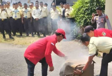 60 Orang Satpam Datangi Mapolres Lubuk Linggau, Ini Tujuannya  