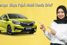 Daftar Lengkap Biaya Pajak Mobil Honda Brio, Lengkap Tahun dan Tipe 