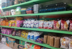 Chiesa Petshop Jadi Andalan Pecinta Kucing di Lubuk Linggau, Stok Lengkap dan Harga Bersahabat