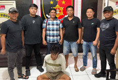  Dua dari Tiga Pelaku Pencurian Buah Sawit di Musi Rawas Diamankan, Perusahaan Rugi 825 Kg Buah Kelapa Sawit