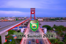 UMK Provinsi Sumsel 2024 Berapa? Segini Nominal UMK di Berbagai Kabupaten dan Kotanya