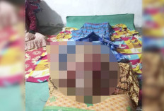 Warga Batu Gane Musi Rawas Diduga Tewas Diterkam Harimau Saat Mencari Ikan