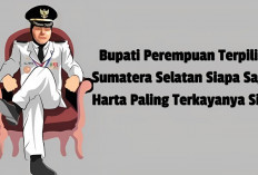 Bupati Perempuan Terpilih di Sumatera Selatan Siapa Saja? Simak Harta Paling Terkayanya Siapa