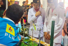 PLN ULP Tebing Tinggi Hadir di Gelaran KTNA Empat Lawang, Ada Miniatur Jaringan Listrik Edukasi Keselamatan