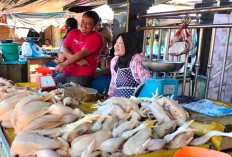 Sempat Naik, Kini Harga Daging Ayam dan Daging Sapi di Pasar B Srikaton Musi Rawas Turun, Ini Penyebabnya