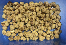 Kacang Telur Gurih, Renyah dan Kriuk Tetap Menjadi Camilan Favorit Masyarakat