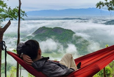 Bukit Gatan, Negeri di Atas Awan di Sumatera Selatan, Jadi Destinasi Favorit Pergantian Tahun 2025