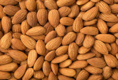 Ketahui 6 Manfaat Kacang Almond Untuk Kesehatan Tubuh, Salah Satunya Dapat Mencegah Penyakit Jantung